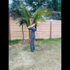 Grey All Over Love Heart Printed Night Suit (FA-507)