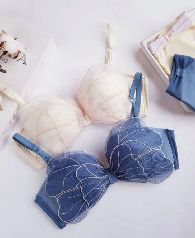 Sweet Butterfly Style Bra & Panty Set