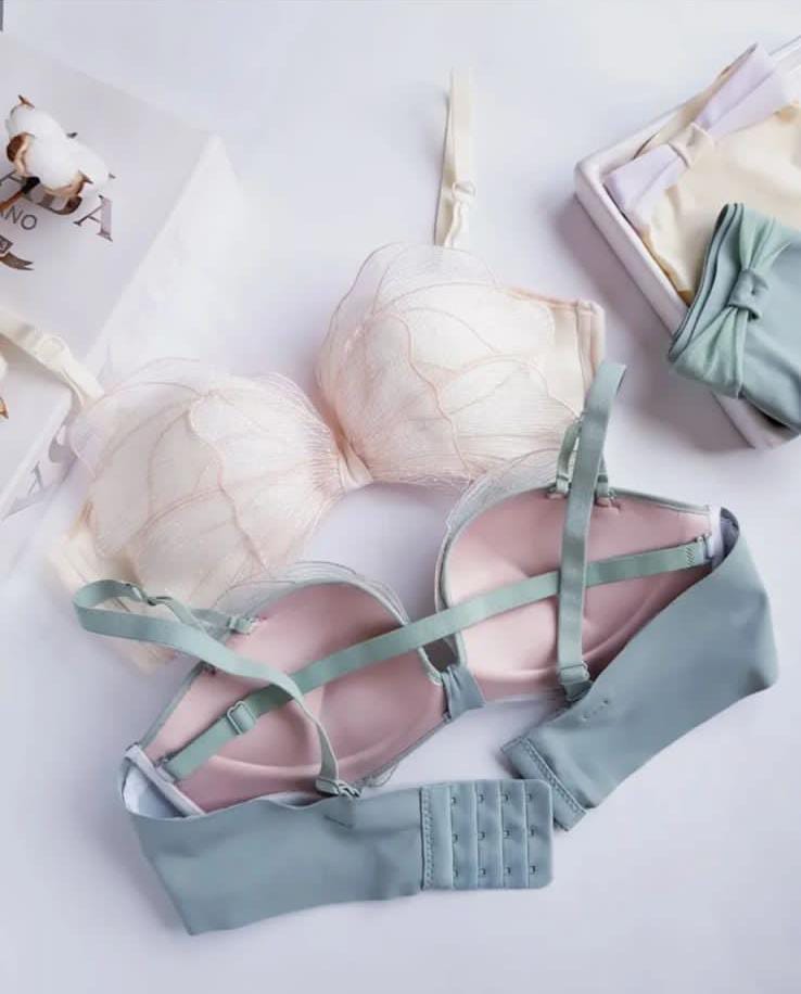 Sweet Butterfly Style Bra & Panty Set